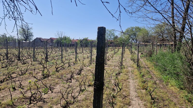Casa de vanzare comuna Ianca judetul Olt